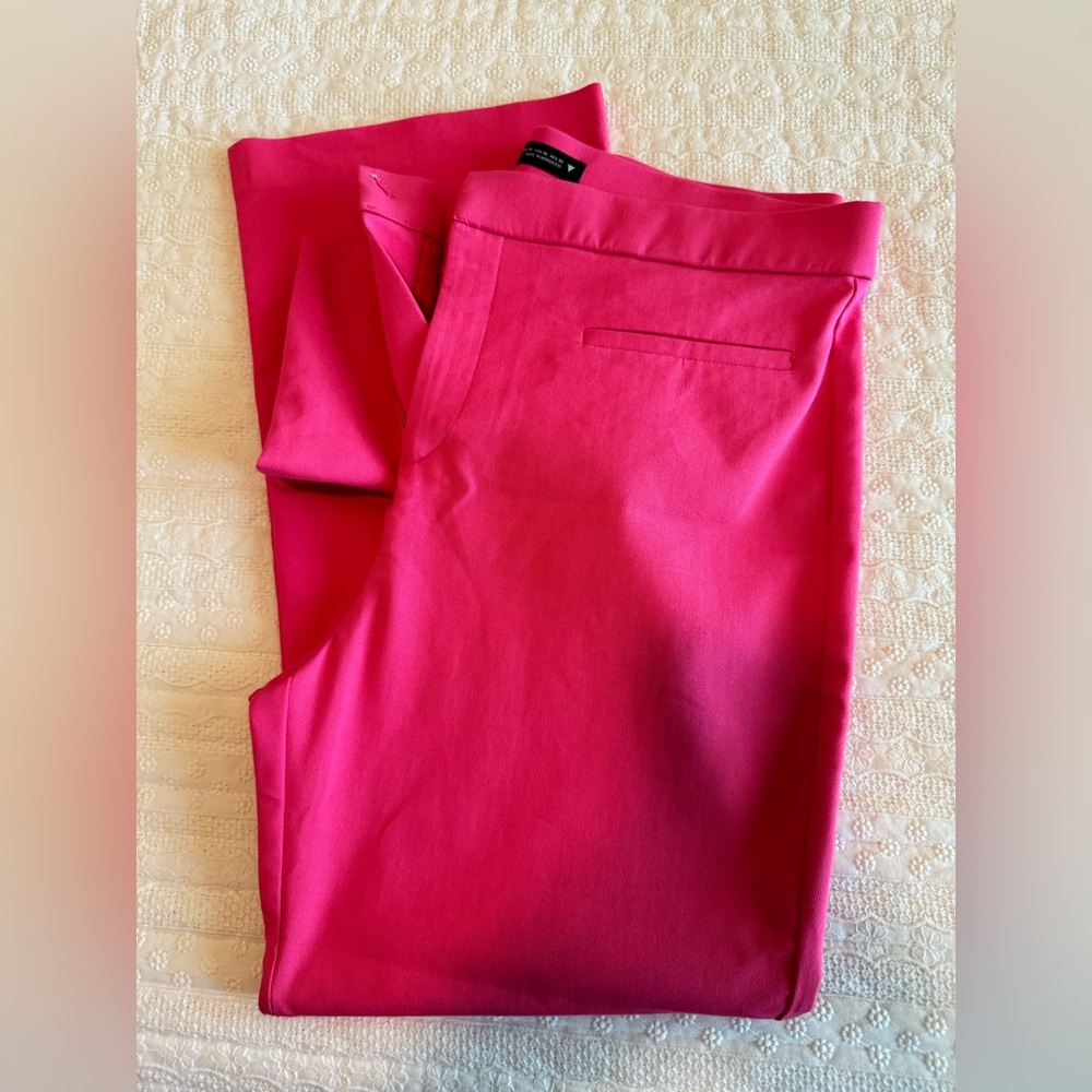 Zara pants
